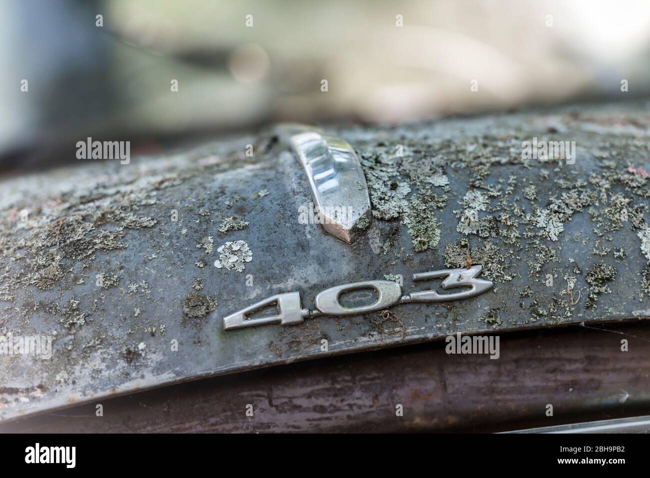 Vintage car detail Stock Photo Alamy