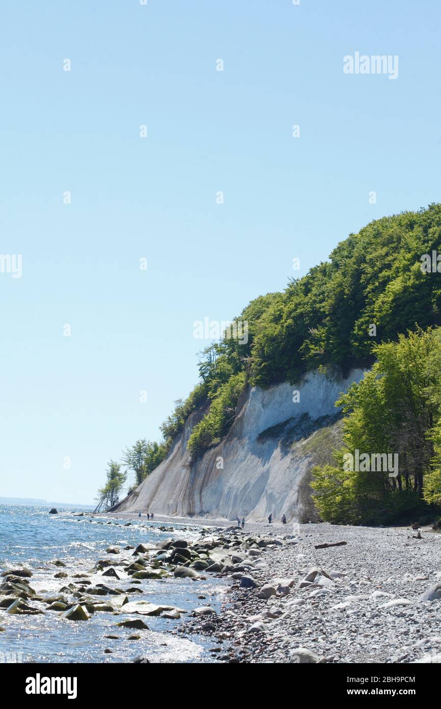 Chalk coast, beach, Jasmund National Park, Sassnitz, Ruegen island, Mecklenburg-Vorpommern, Germany, Europe Stock Photo