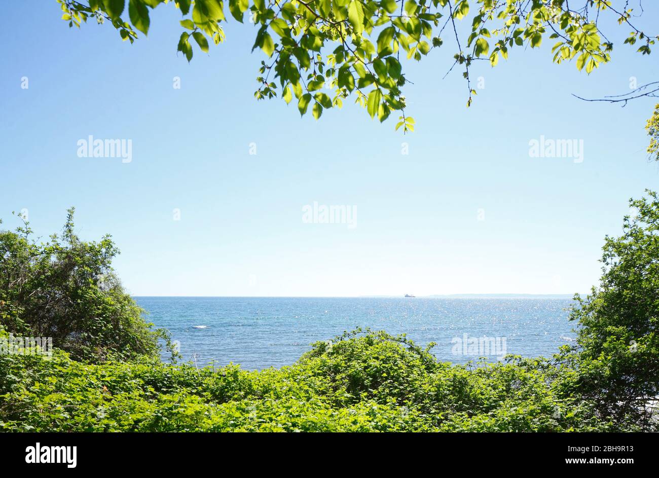 Chalk coast, beach, Jasmund National Park, Sassnitz, Ruegen island, Mecklenburg-Vorpommern, Germany, Europe Stock Photo