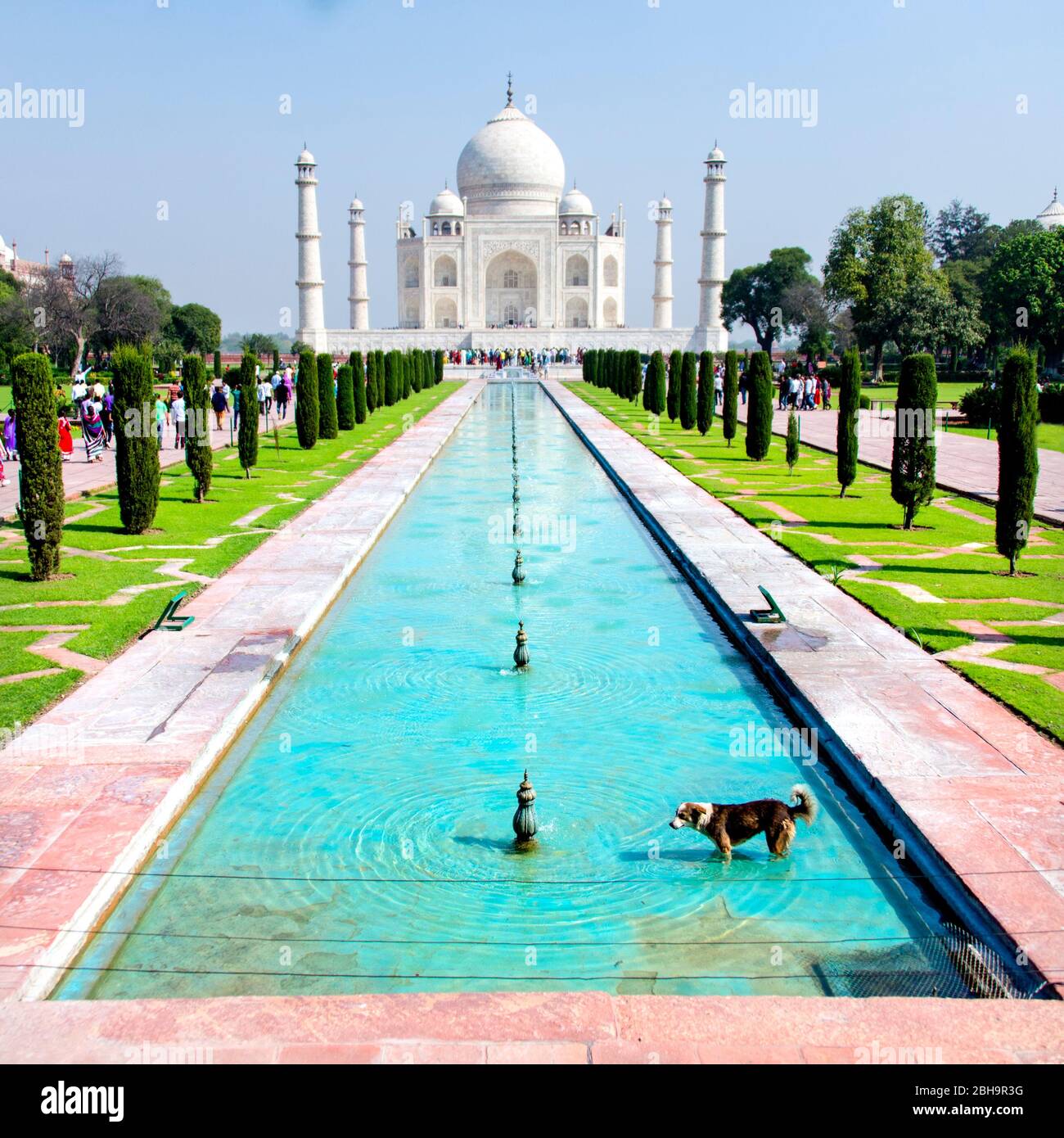 Scenic view of Taj Mahal, Agra, Uttar Pradesh, India Stock Photo