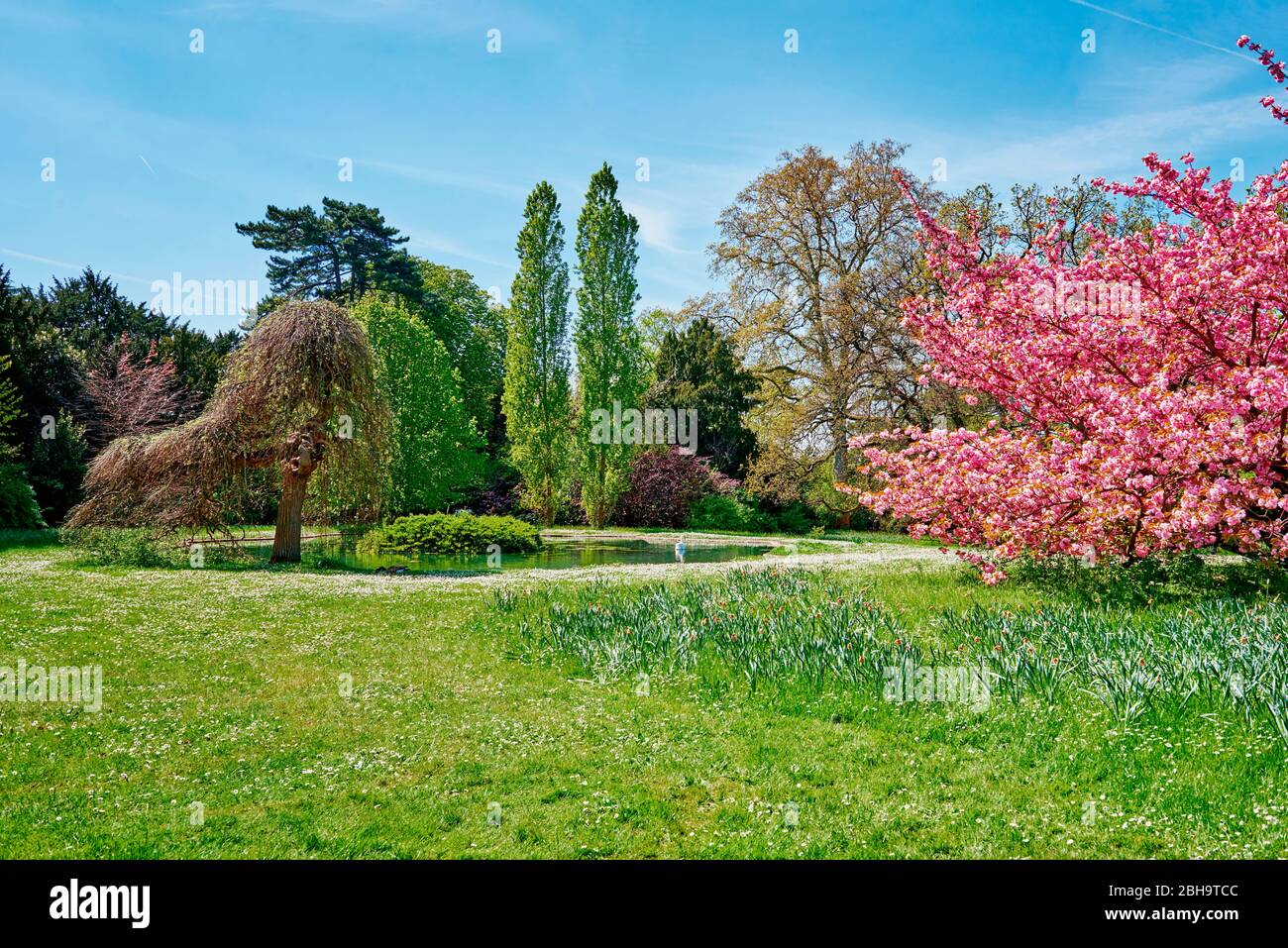 Parc de Bagatelle, Paris France Stock Photo