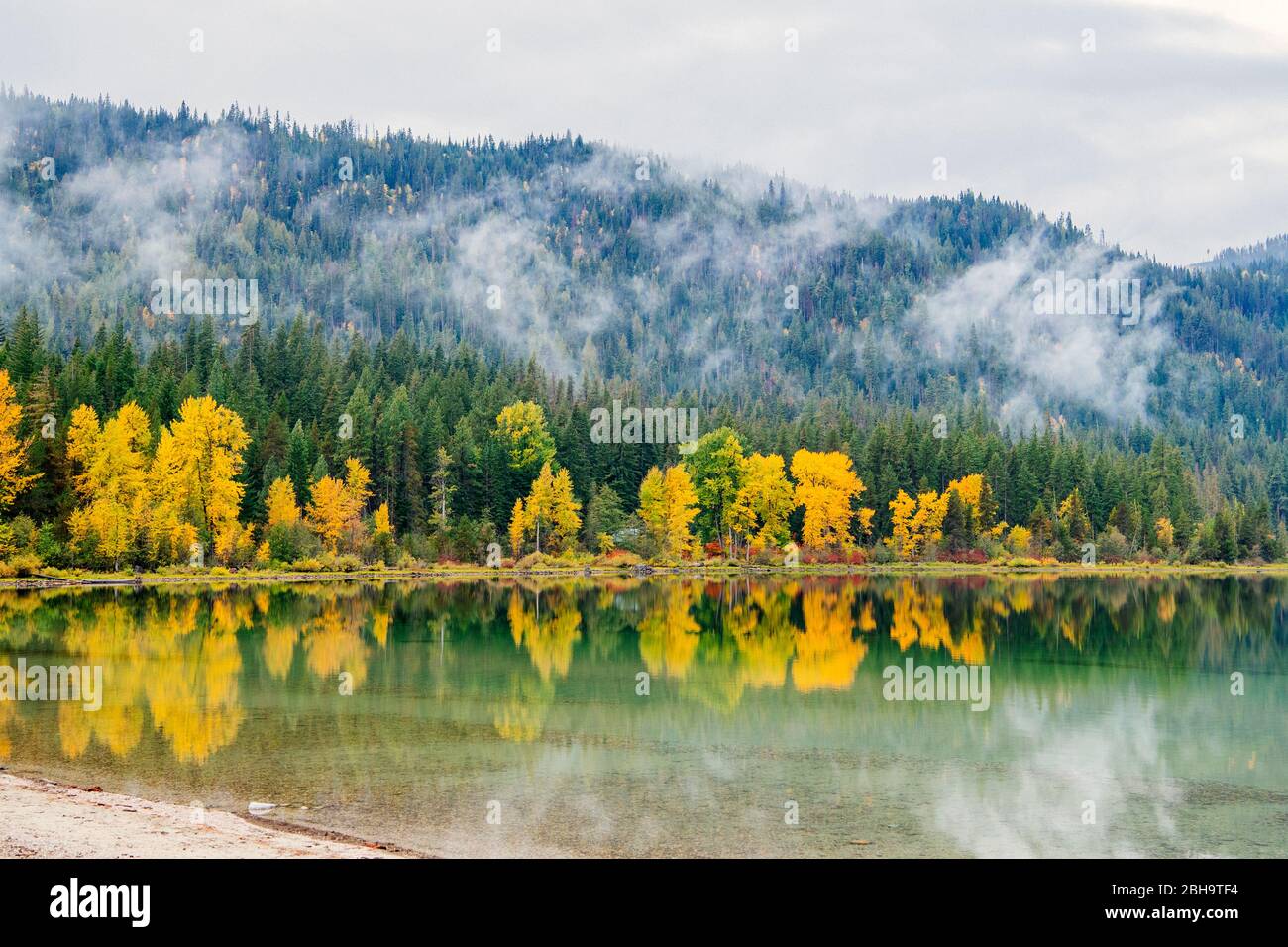 View of reflection in lake of forest and hill cloaked in clouds, Lake