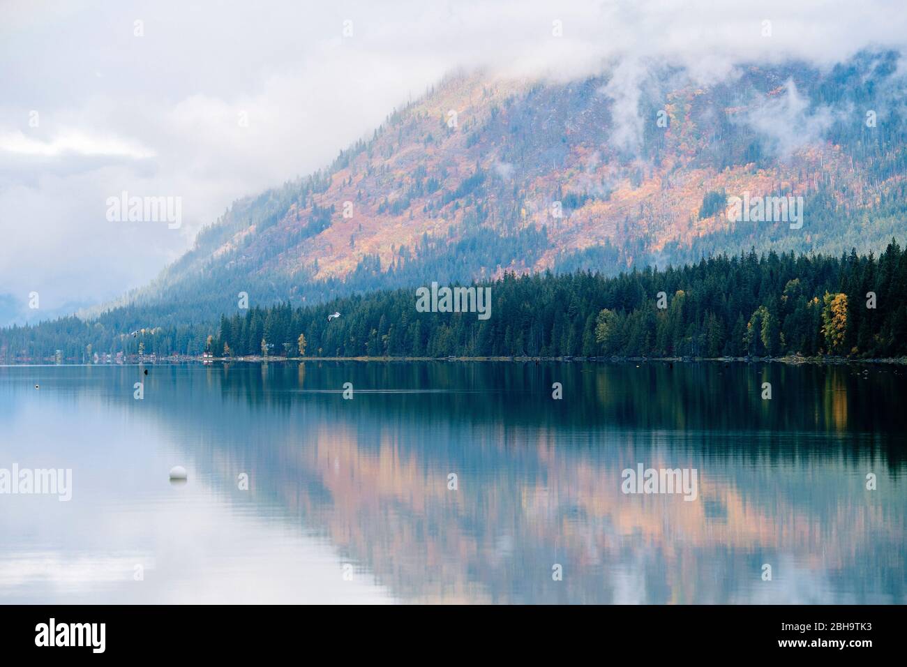 View of mountain and forest reflected in lake in overcast, Lake Wenatchee State Park, Wenatchee, Washington, USA Stock Photo