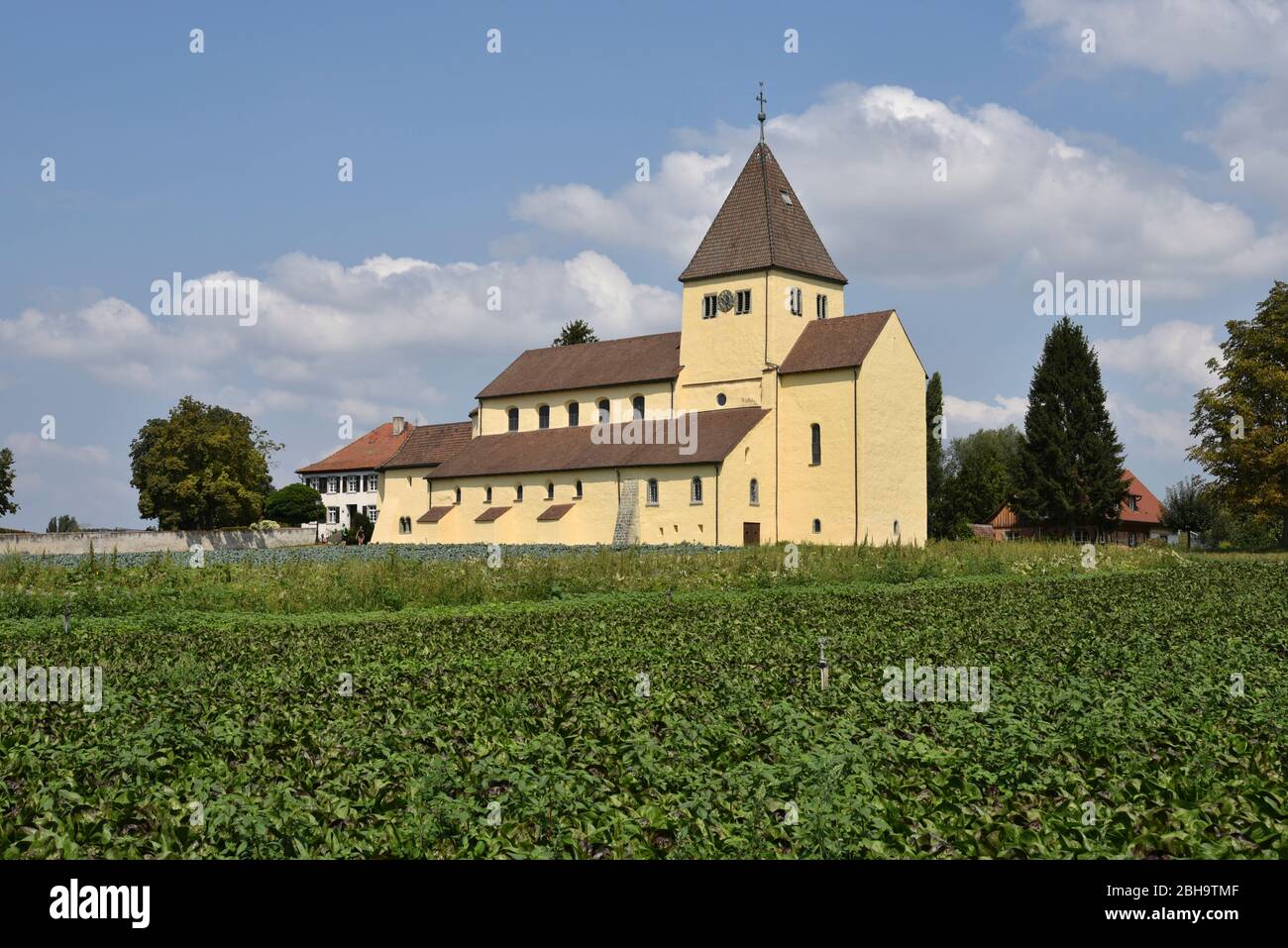 Europe, Germany, Baden-Wuerttemberg, district Konstanz, Reichenau, Oberzell, Bodensee, island, St. Georg Stock Photo