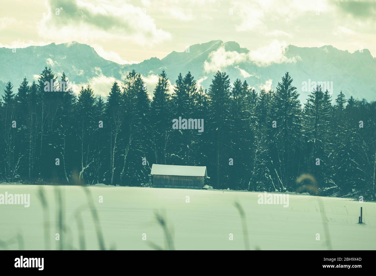 Am Tennsee bei Krün im Winter mit Blick auf das Zugspitzmassiv. Landkreis Garmisch-Partenkirchen, Bayern, Deutschland. Stock Photo