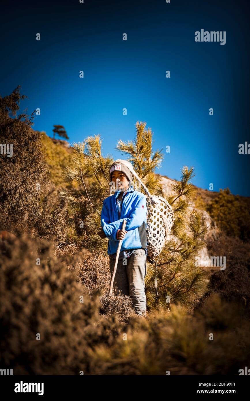 Boy with basket on his back, portrait, blue sky, yellow bushes, complementary contrast Stock Photo