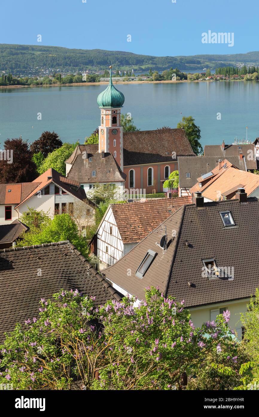 Blick über Allensbach zur Insel Reichenau, Bodensee, Baden-Württemberg, Deutschland Stock Photo
