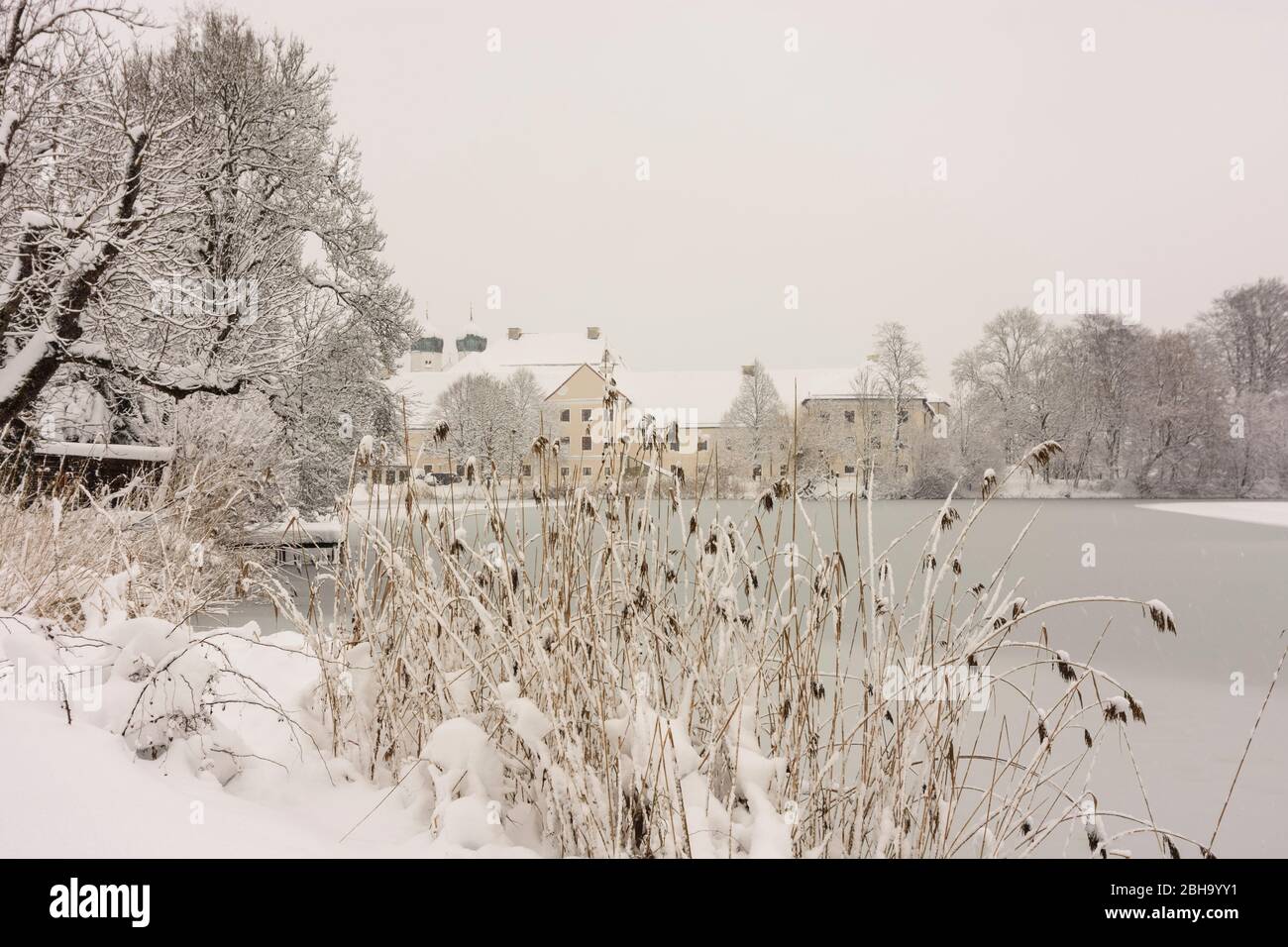 Seeon-Seebruck: Seeon Abbey, lake Klostersee, church Sankt Lambert, snow in Upper Bavaria, Chiemsee Alpenland, Upper Bavaria, Bavaria, Bavaria, Germany Stock Photo