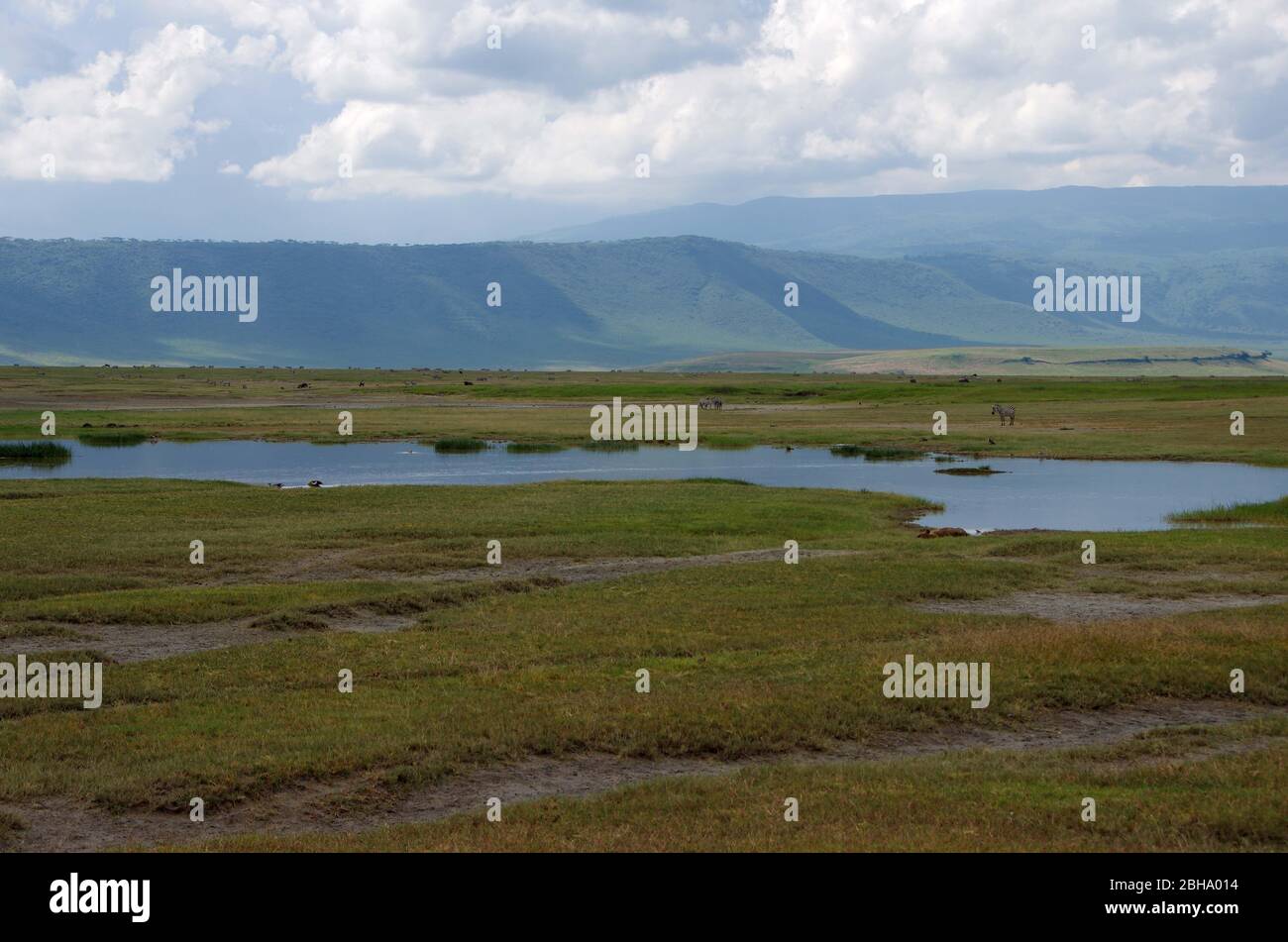 Landscape in the Ngorongoro crater in Tanzania, East Africa Stock Photo