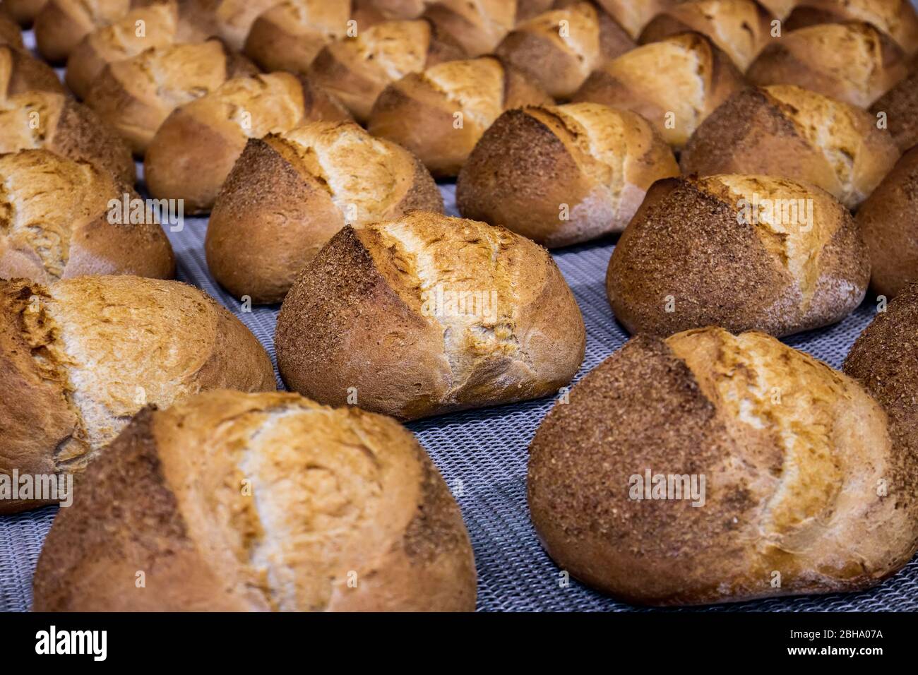 Industrial bakery line oven process of bread production Stock Photo