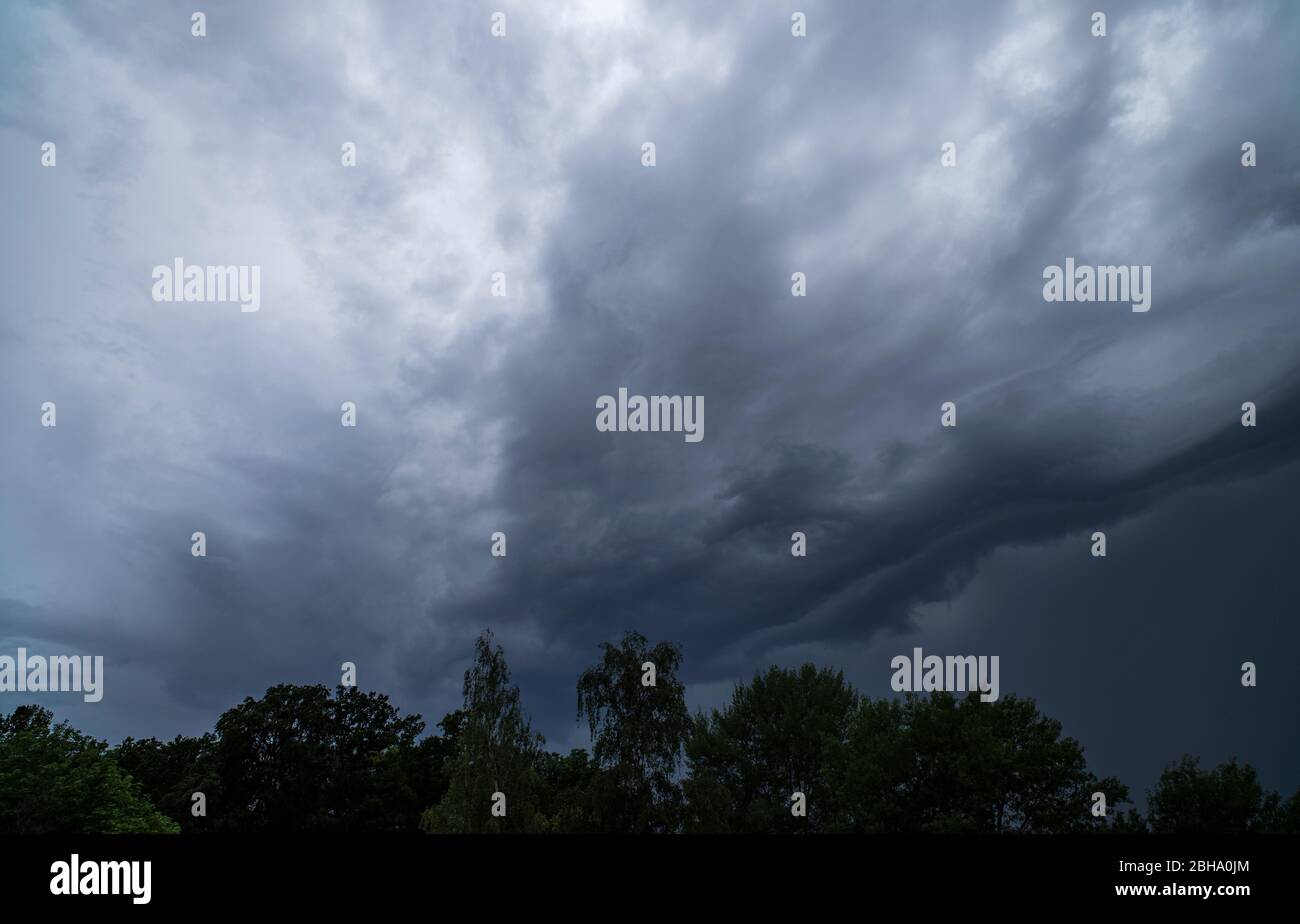 Gloomy clouds over a forest Stock Photo
