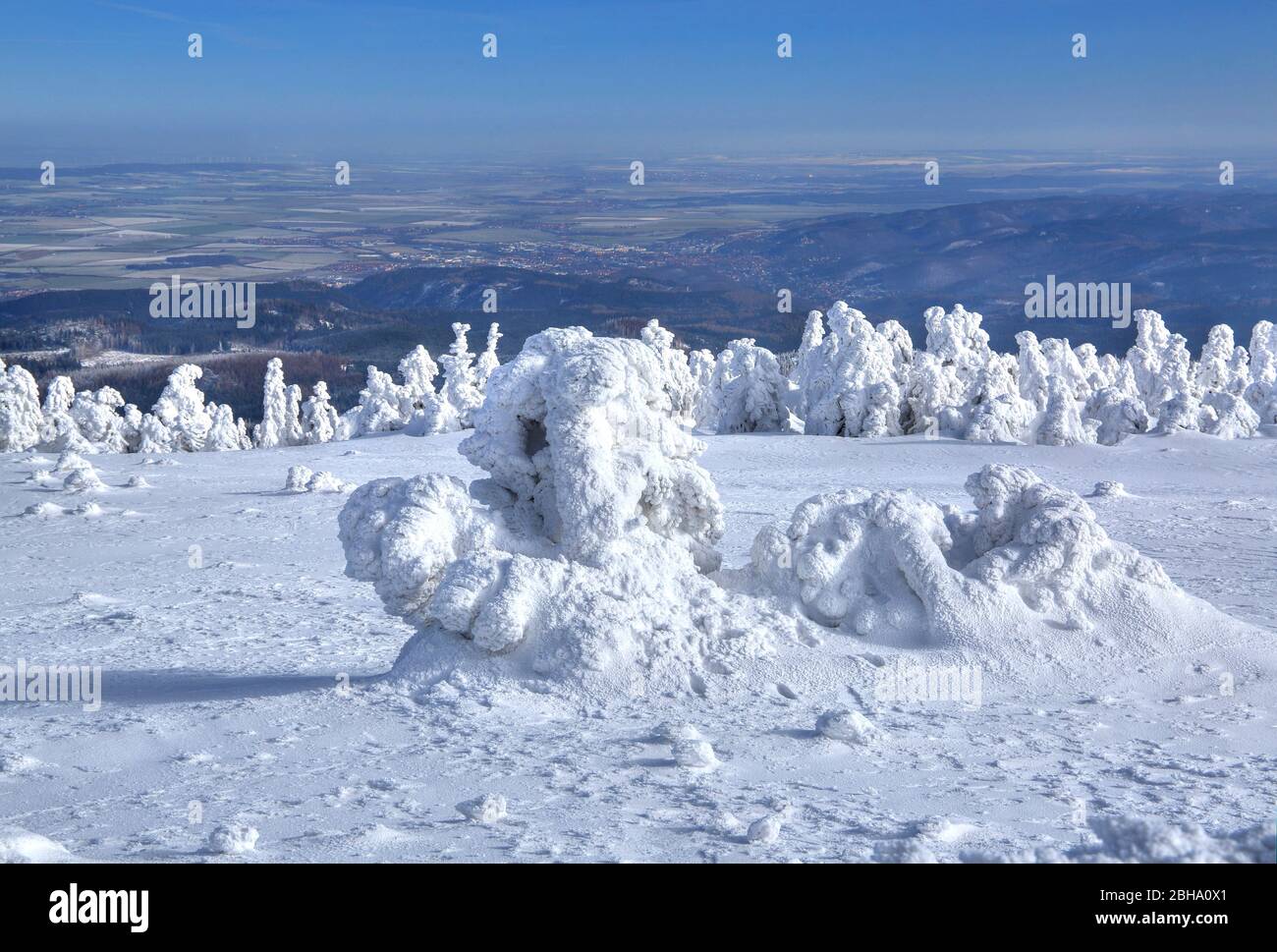 Winter landscape with icy trees at Brocken, Wernigerode, Harz Nature Park, Saxony-Anhalt, Germany Stock Photo