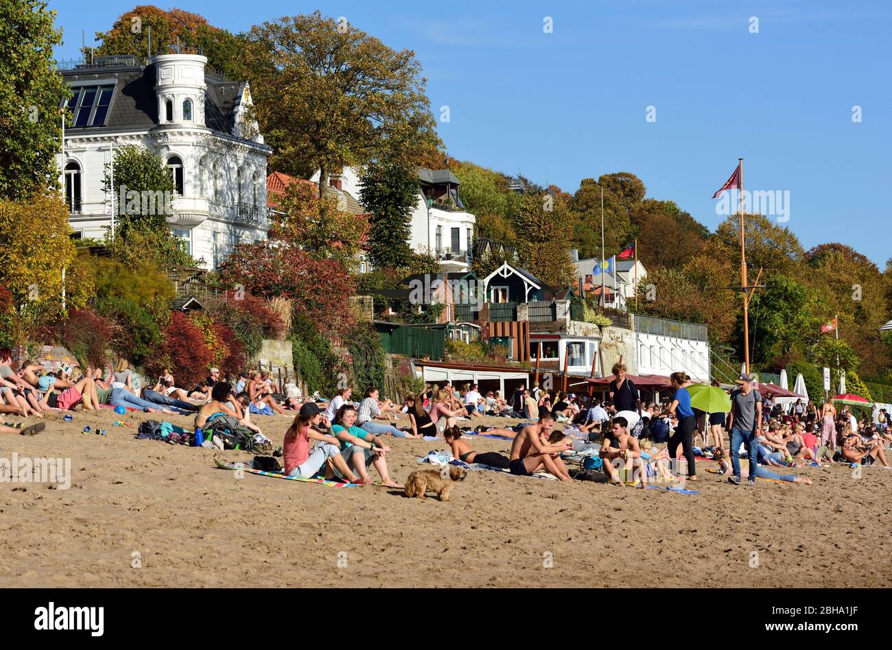 Germany, Hamburg, Övelgönne, villas and beach on the banks of river Elbe Stock Photo