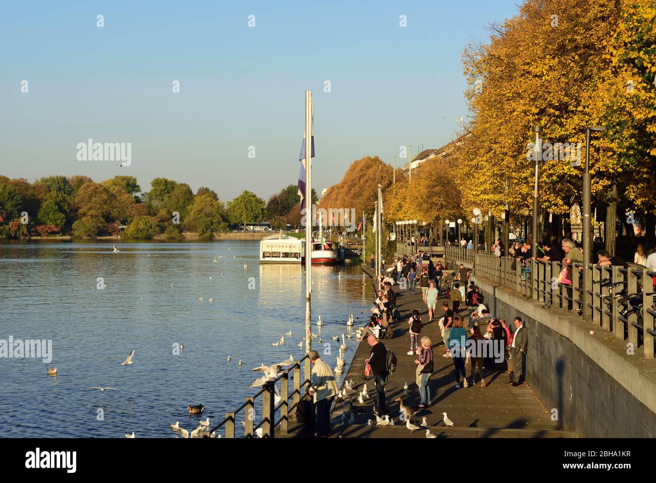 Europe, Germany, Hamburg, Binnenalster (Inner Alster Lake), autumn, Promenade at Ballindamm, Stock Photo