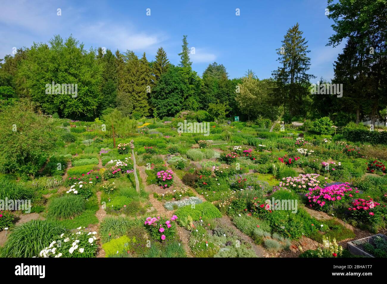 Show Garden Perennial Garden Gaissmayer Illertissen Swabia Bavaria Germany Stock Photo Alamy