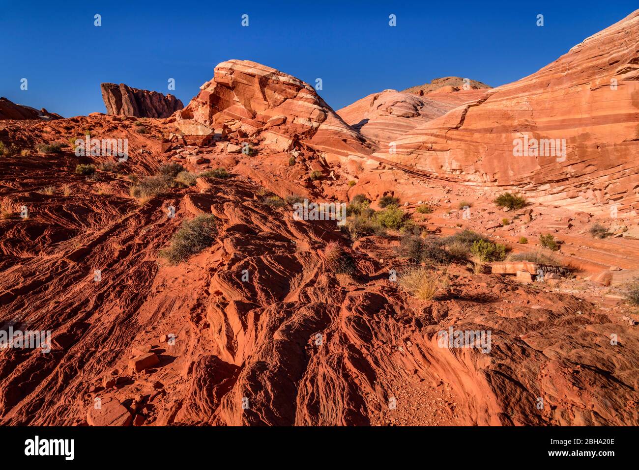 USA, Nevada, Clark County, Overton, Valley of Fire State Park, Fire Wave mit Gibraltar Rock Stock Photo