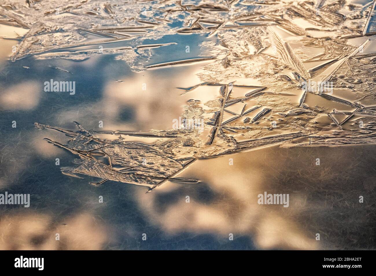 onset of winter, water surface freezes over, close-up Stock Photo