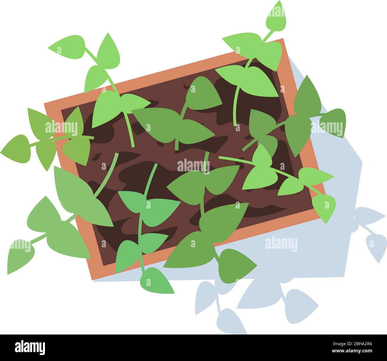 Potted plant semi flat RGB color vector illustration Stock Vector Image ...