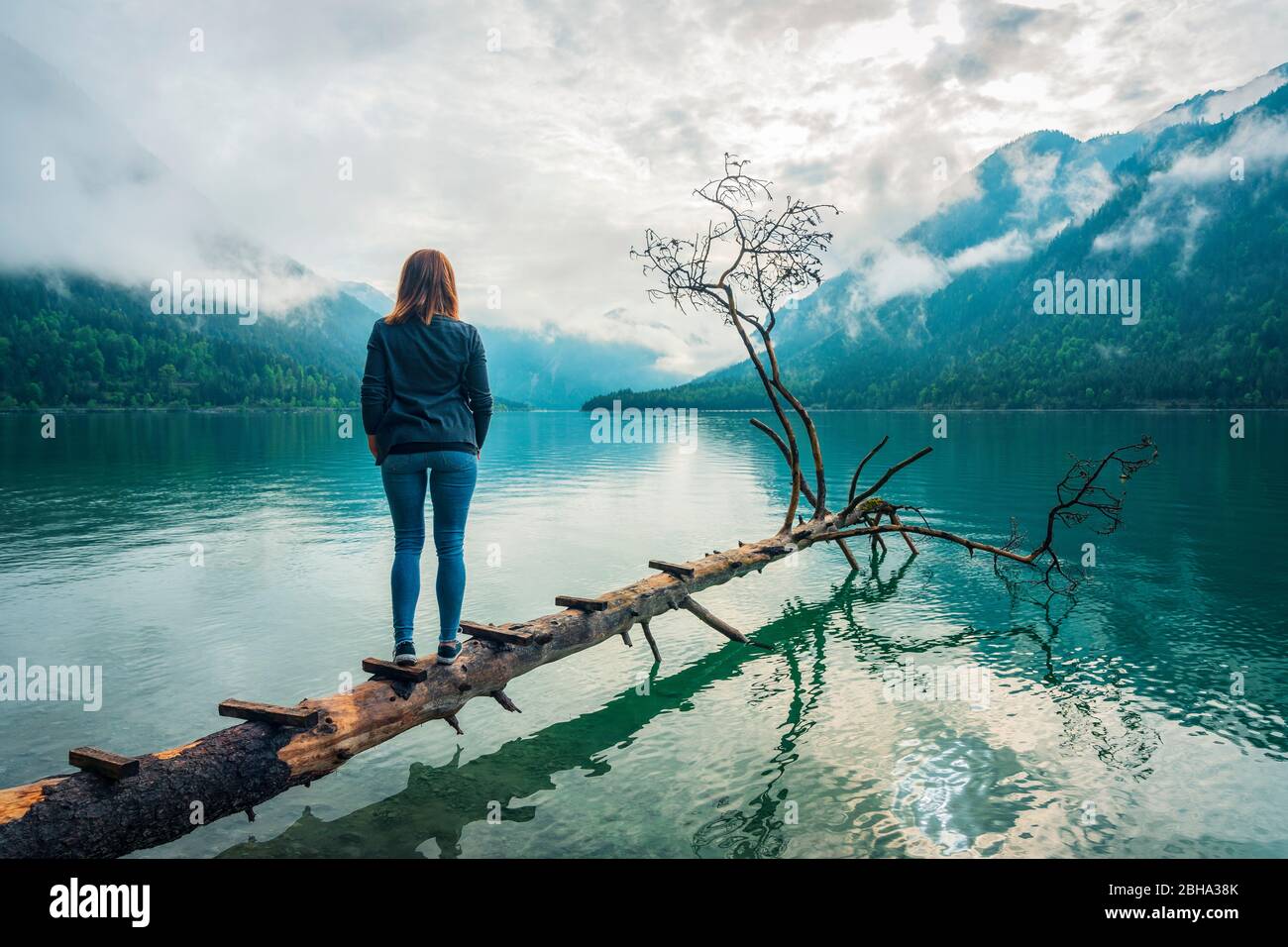 Ladder rungs hi-res stock photography and images - Alamy