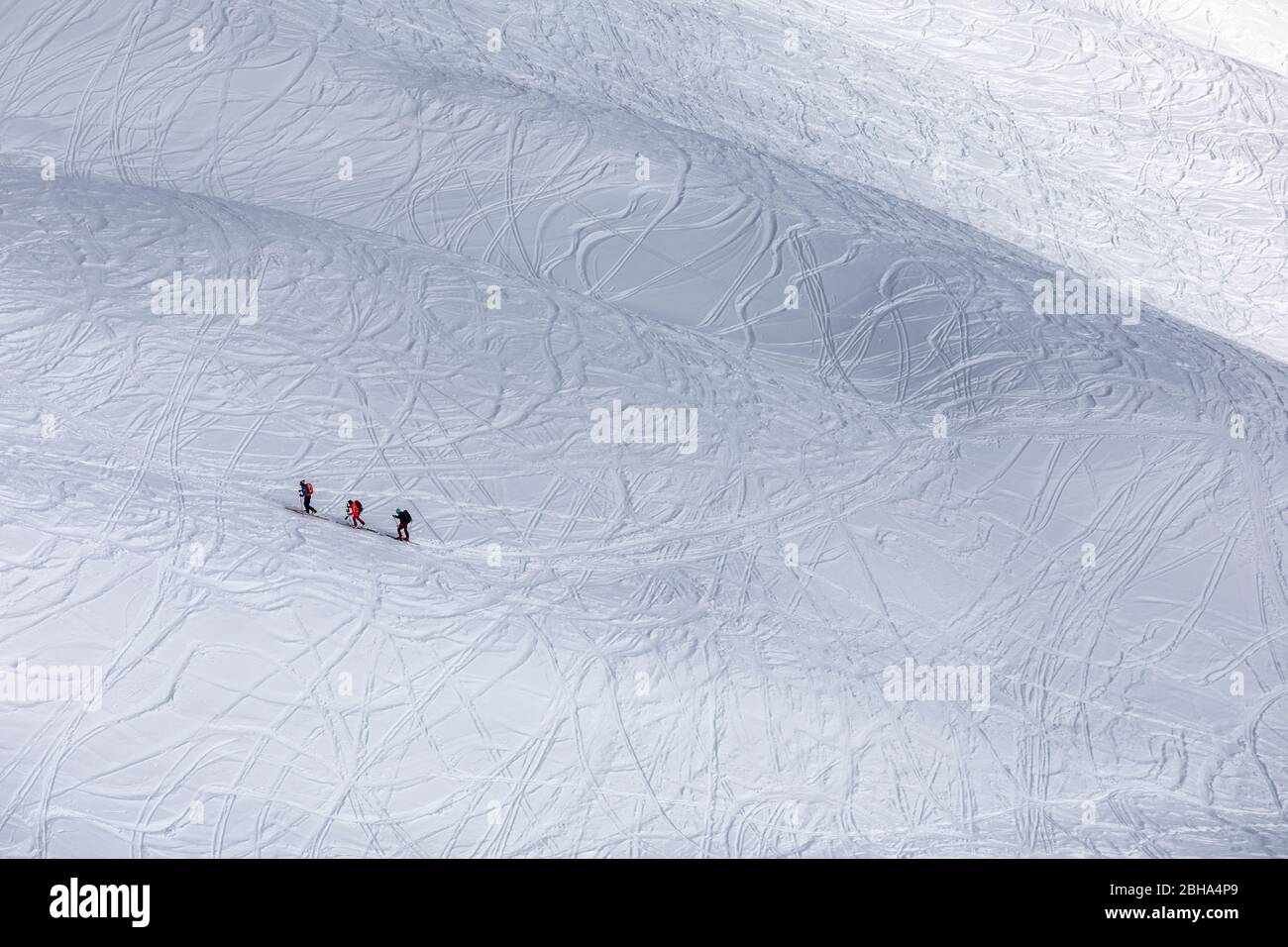 three ski mountaineers uphill on snow drawn by skiers' trails, Monte Alto (High Man), Hohe Tauern, Casies valley / Gsieser valley, South Tyrol, Italy Stock Photo