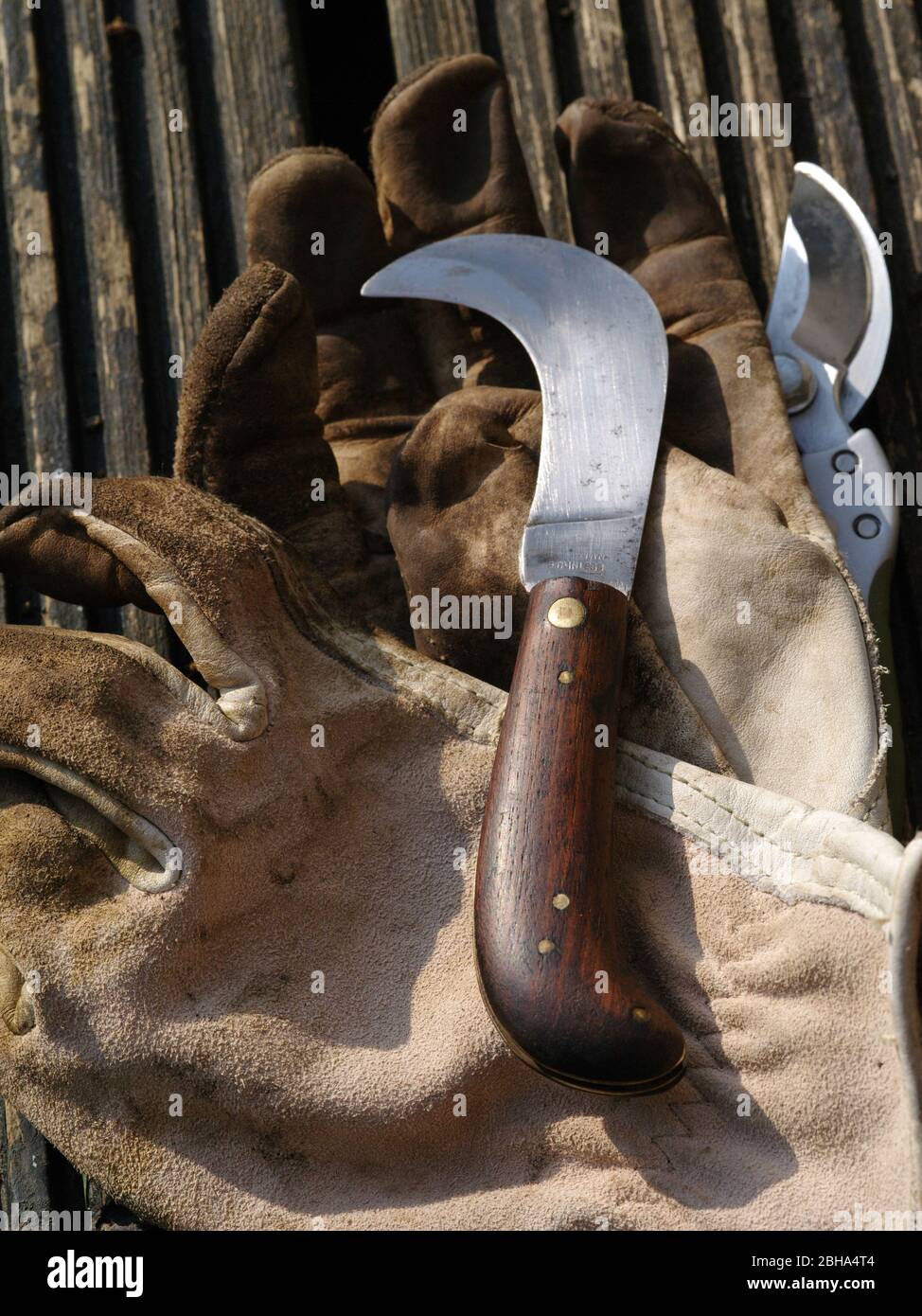 Pruning knife hires stock photography and images Alamy