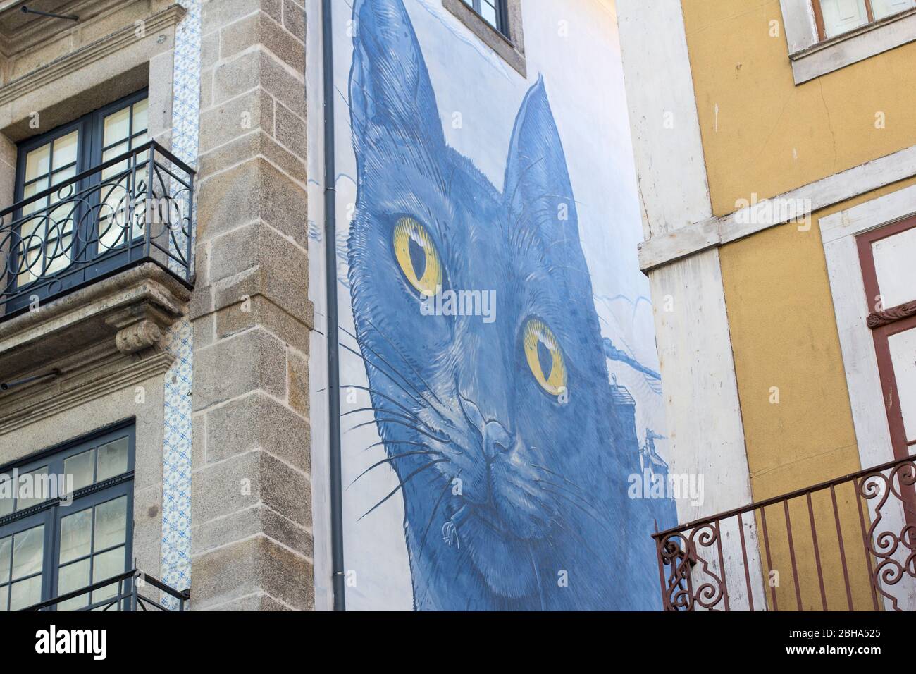 Mural, blue cat between houses Stock Photo