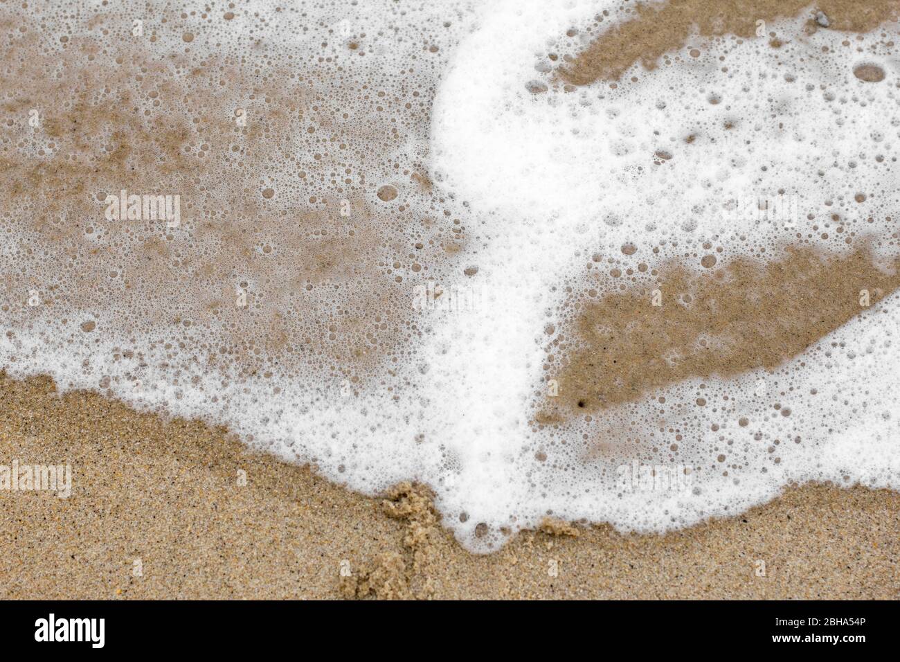 Foam on the beach Stock Photo Alamy