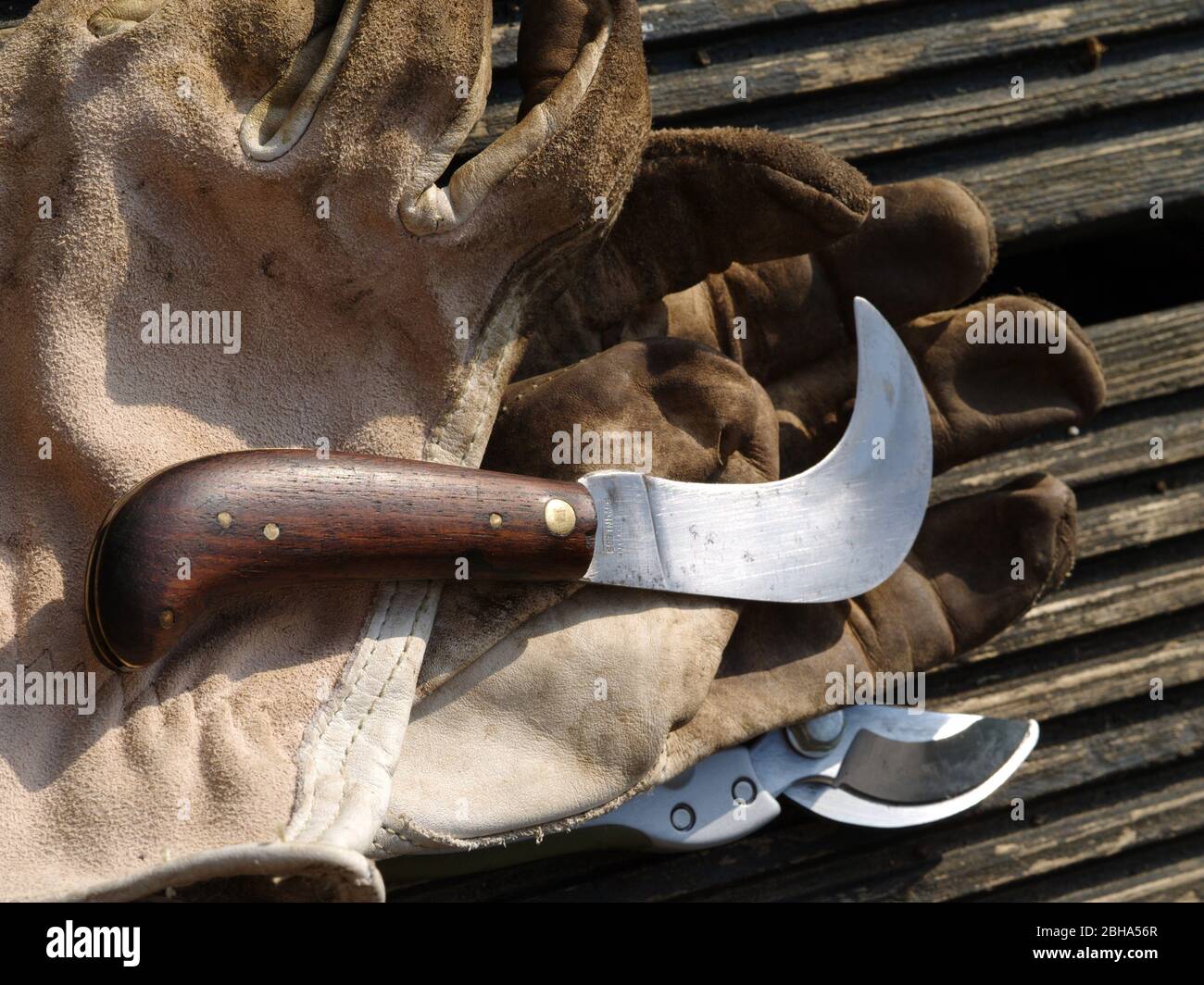 Pruning knife hires stock photography and images Alamy