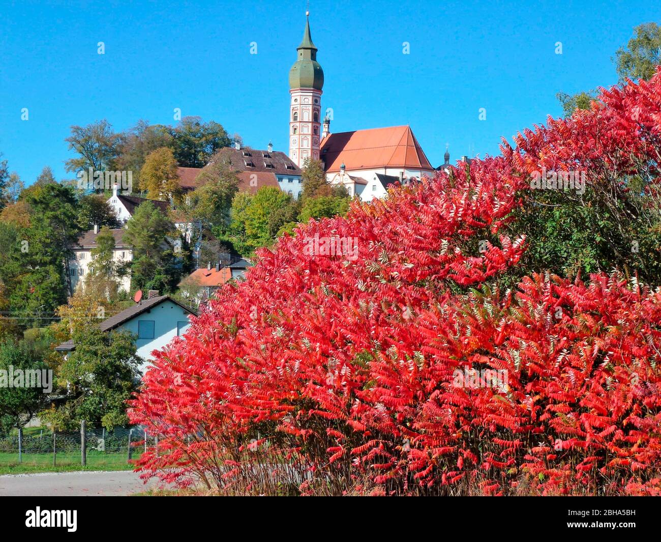 Germany, Upper Bavaria, Andechs, vinegar tree and monastery church Stock Photo