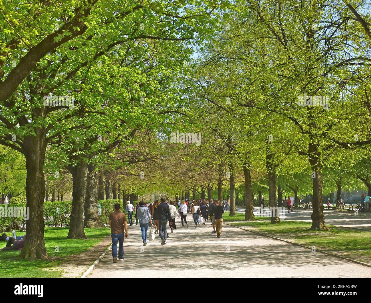 Germany, Upper Bavaria, Munich, Hofgarten in spring Stock Photo