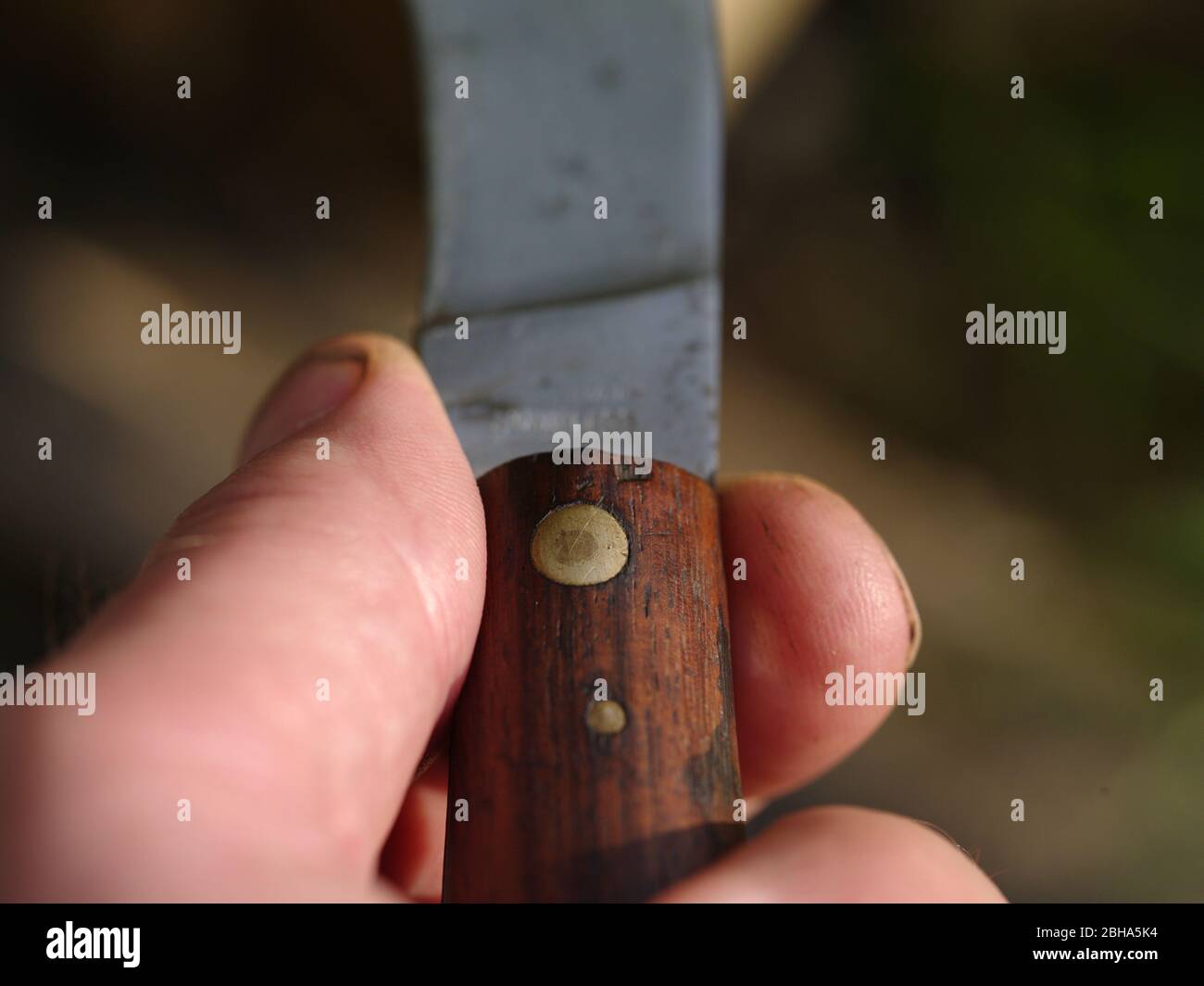 Pruning knife hires stock photography and images Alamy