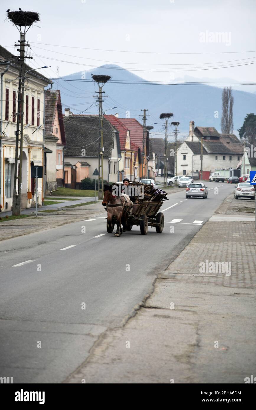 Europe, Romania, Transylvania, Cristian, Grossau, horse and cart Stock Photo
