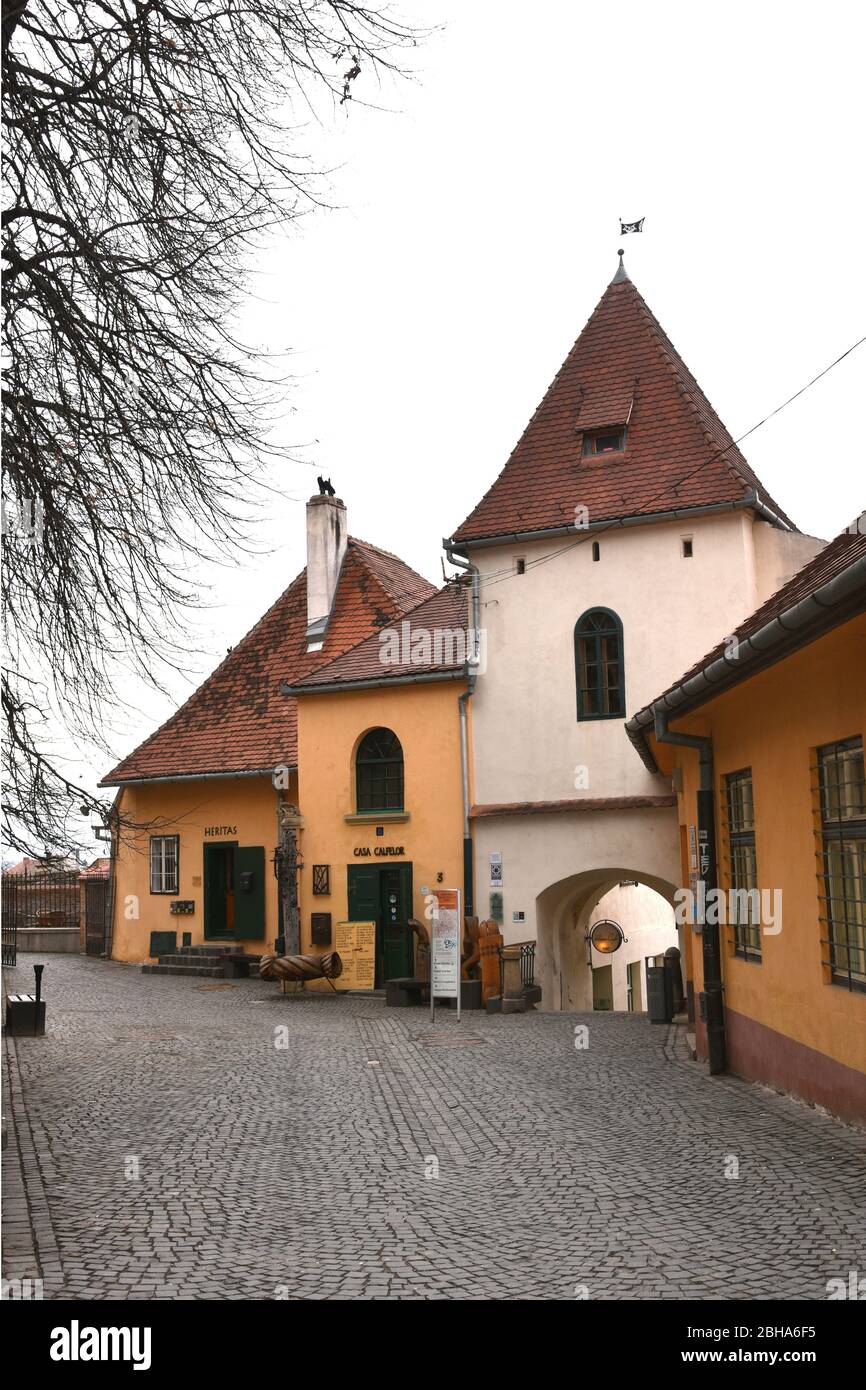 Europe, Romania, Sibiu, Sibiu, Transylvania, Sagturm, journeyman hostel, Casa Calfelor Stock Photo