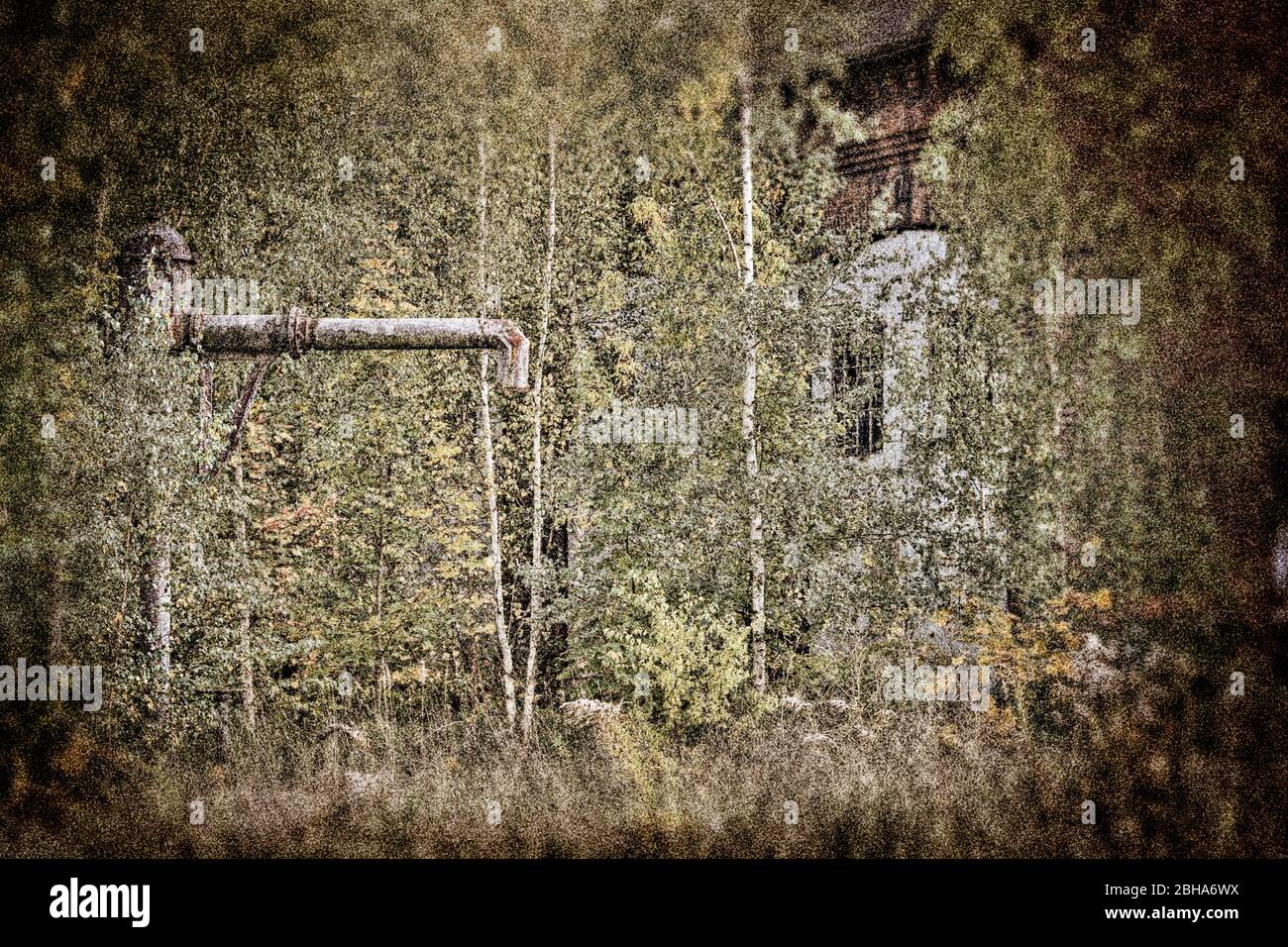 Water crane, Schuppentor, trees, grass, wild, digitally processed, RailArt Stock Photo