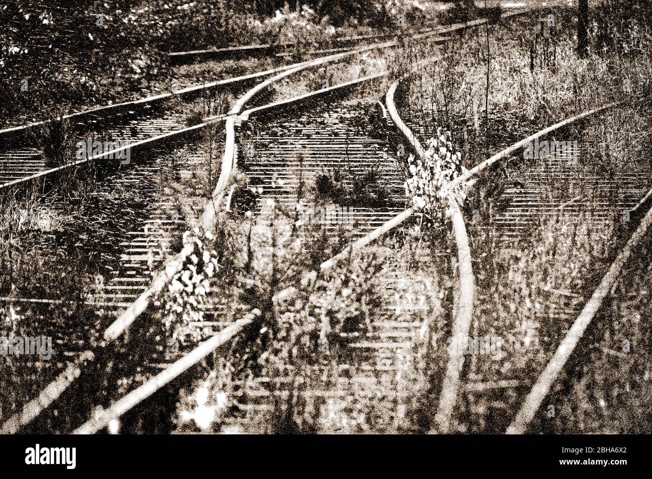 Tracks, switches, grass, wild, backlight, digitally processed, RailArt Stock Photo