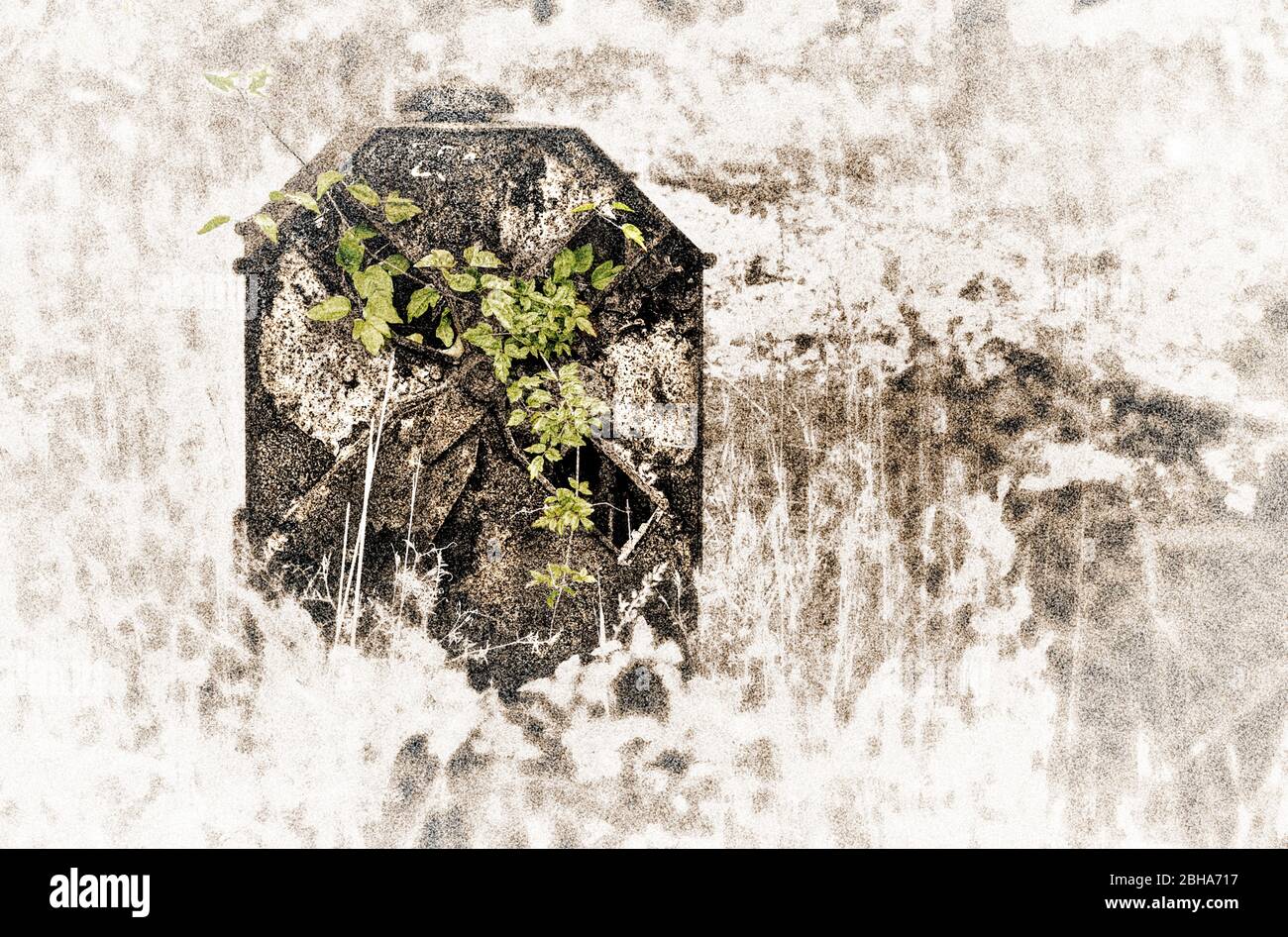 Former switch lantern, grass, plant, feral, [M], digitally processed, Color Key, RailArt Stock Photo