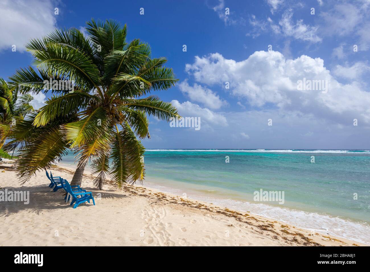 Beach Chairs on beach with palm trees, Grand Cayman Island Stock Photo