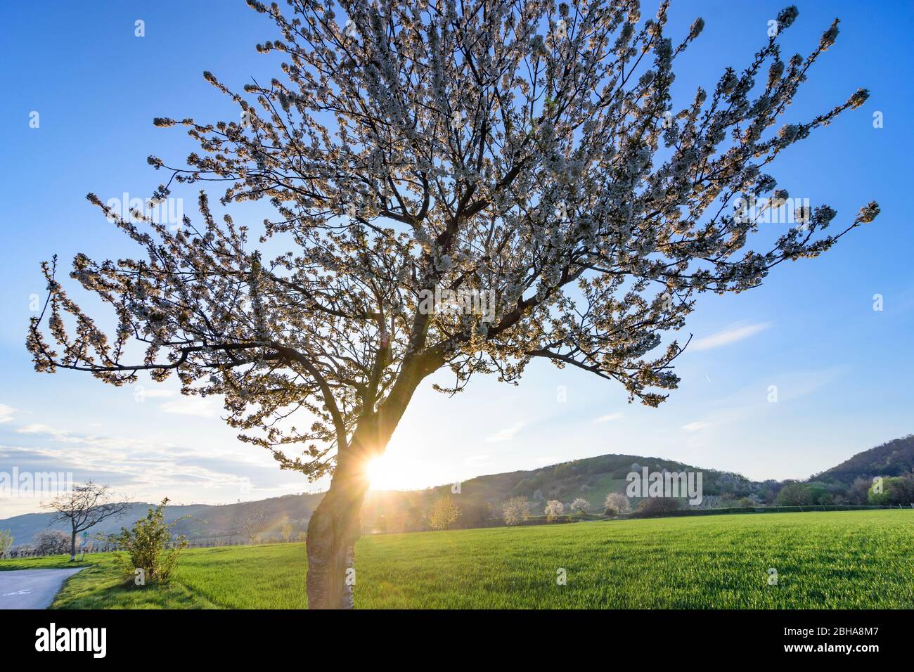 View to mountain leitha mountains hires stock photography and images