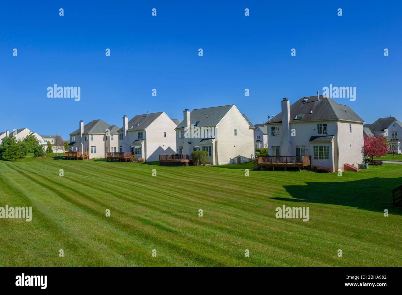 American suburban backyards Stock Photo