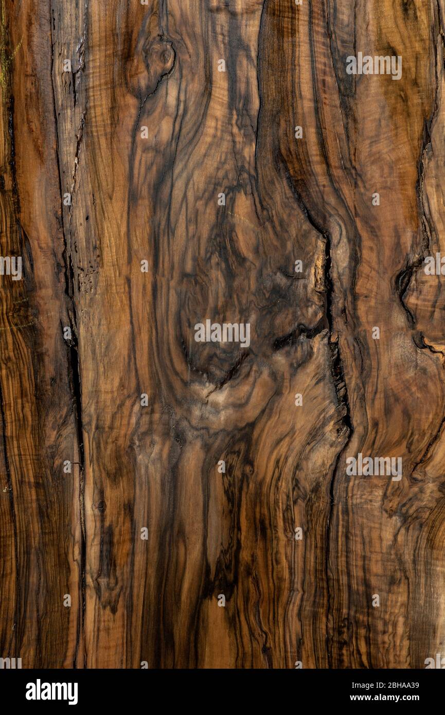 Types Of Black Walnut Wood At Paul Boldt Blog