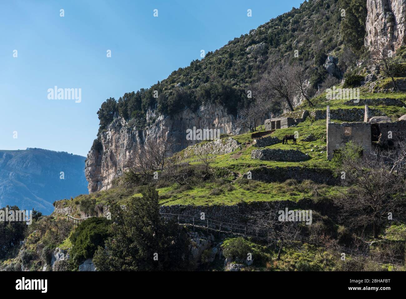 The Way of the Gods: Sentiero degli Dei. Incredibly beautiful hiking path high above the Amalfitana or Amalfi coast in Italy, from Agerola to Positano. March 2019. Horse and ruin. Stock Photo