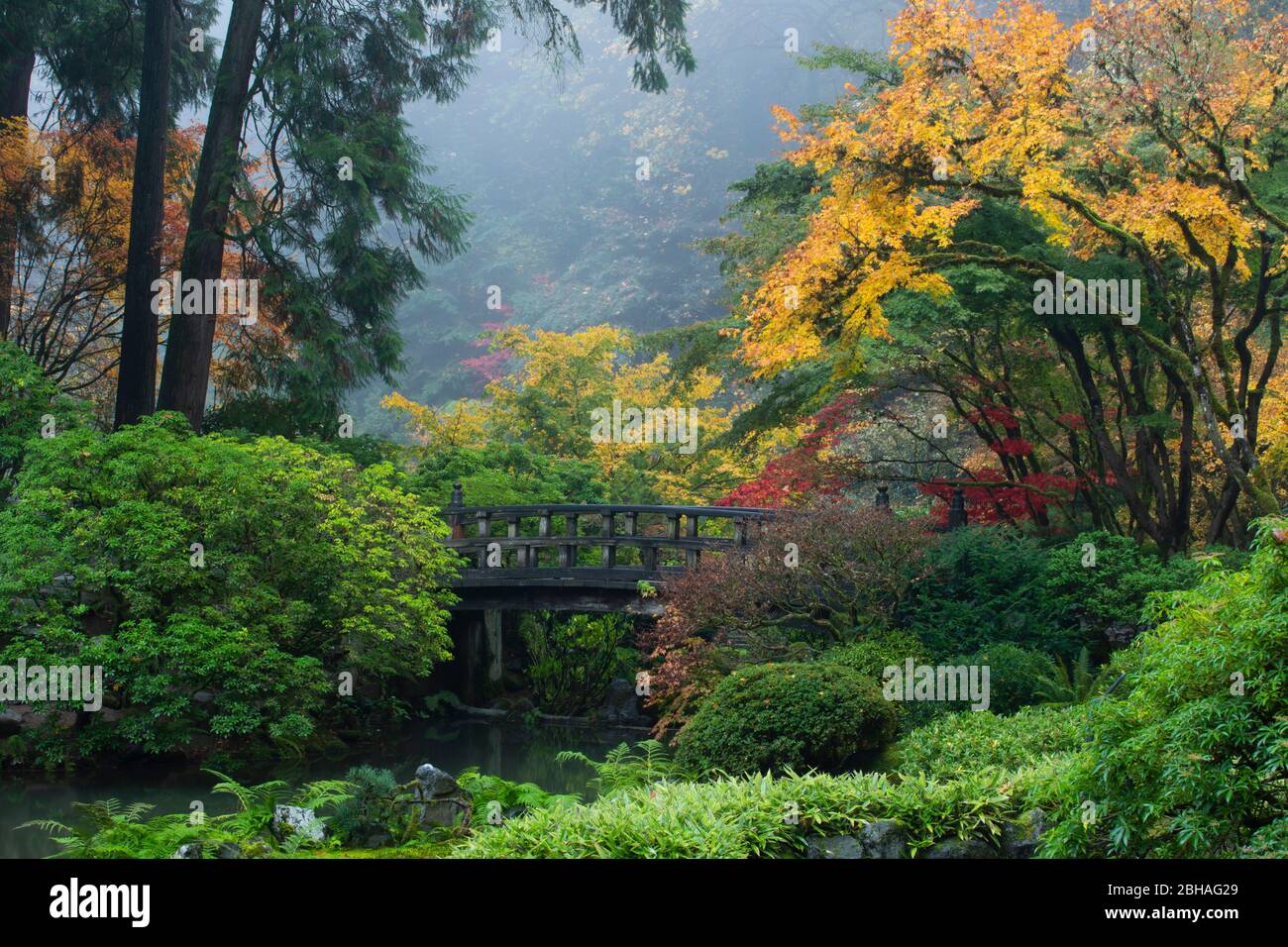 Footbridge in Japanese garden, Portland, Oregon, USA Stock Photo