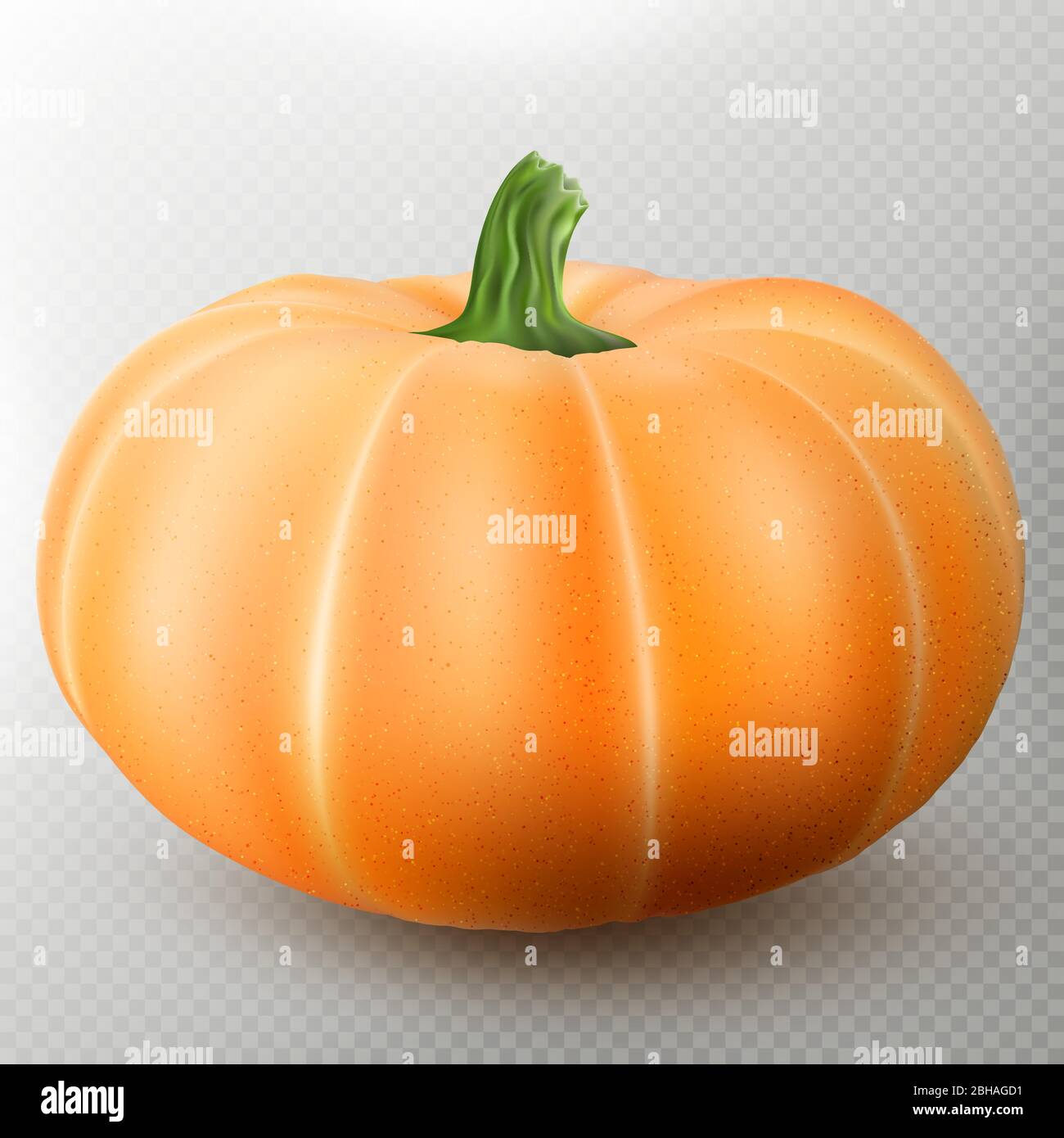 Realistic macro orange pumpkin isolated on transparent background. EPS 10 Stock Vector