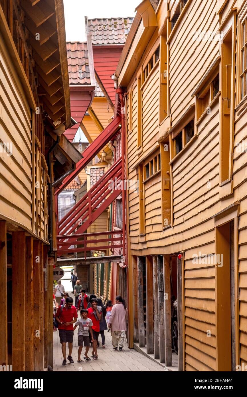 Tourists walk on wooden panels through an alleyway in the center of Bergen, surrounded by wooden houses, with shops connected by walkways and stairs across the alley, Hordaland, Norway, Scandinavia, Europe Stock Photo