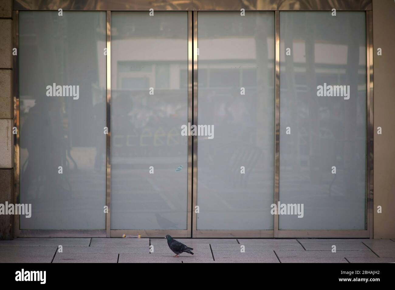 A modern sliding glass door of a shopping mall with shiny metal frame. Stock Photo
