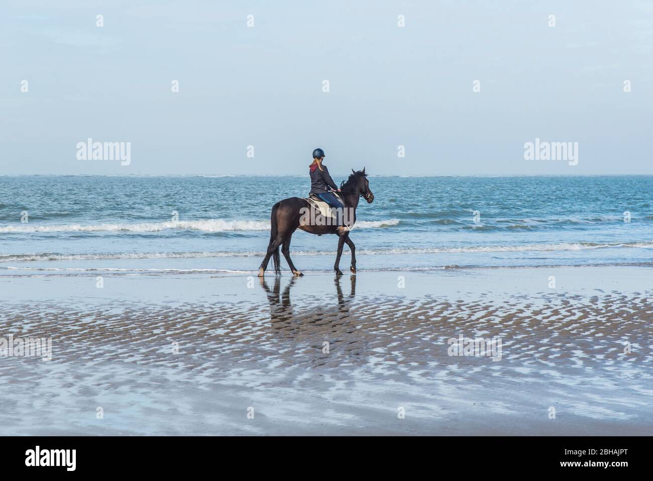 A rider on horseback on the North Sea beach near Renesse, The Netherlands. Stock Photo