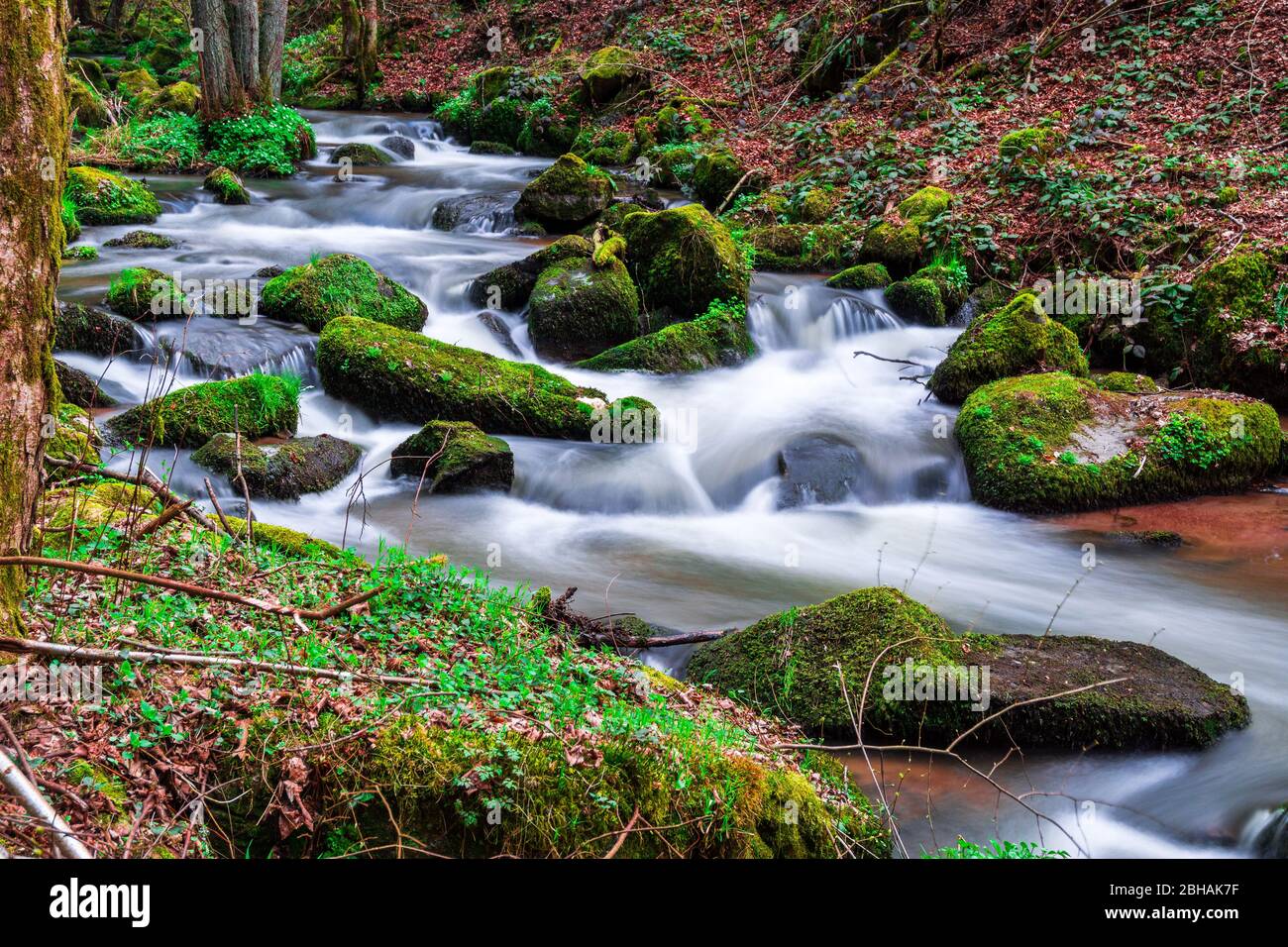 Otterbach Valley in Lower Bavaria, Oberpfalz Germany Stock Photo