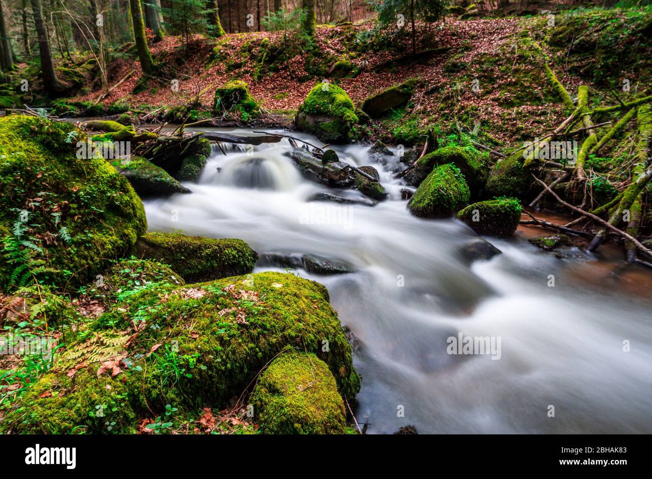 Otterbach Valley in Lower Bavaria, Oberpfalz Germany Stock Photo