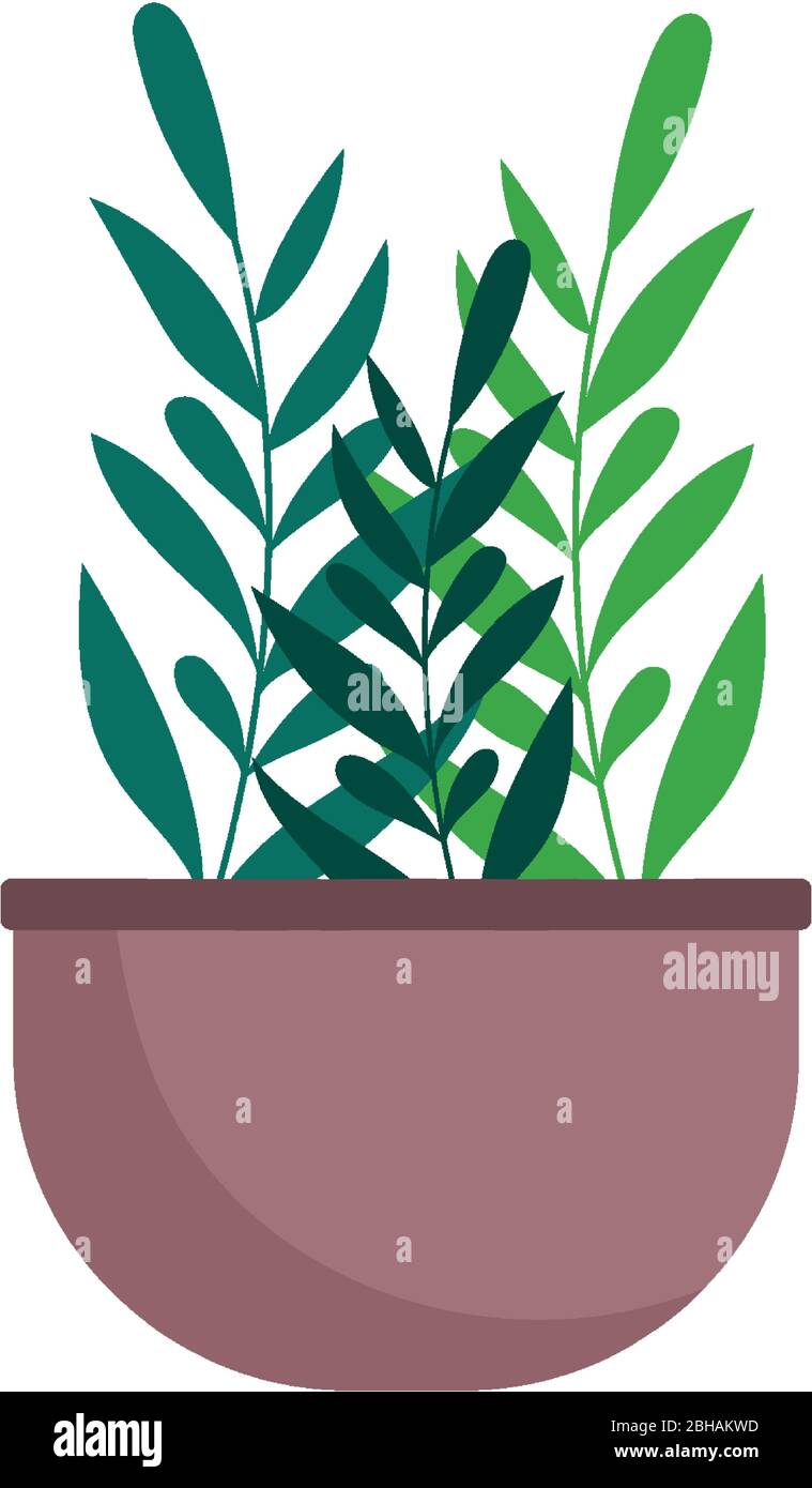 potted plant decoration isolated icon on white background vector ...