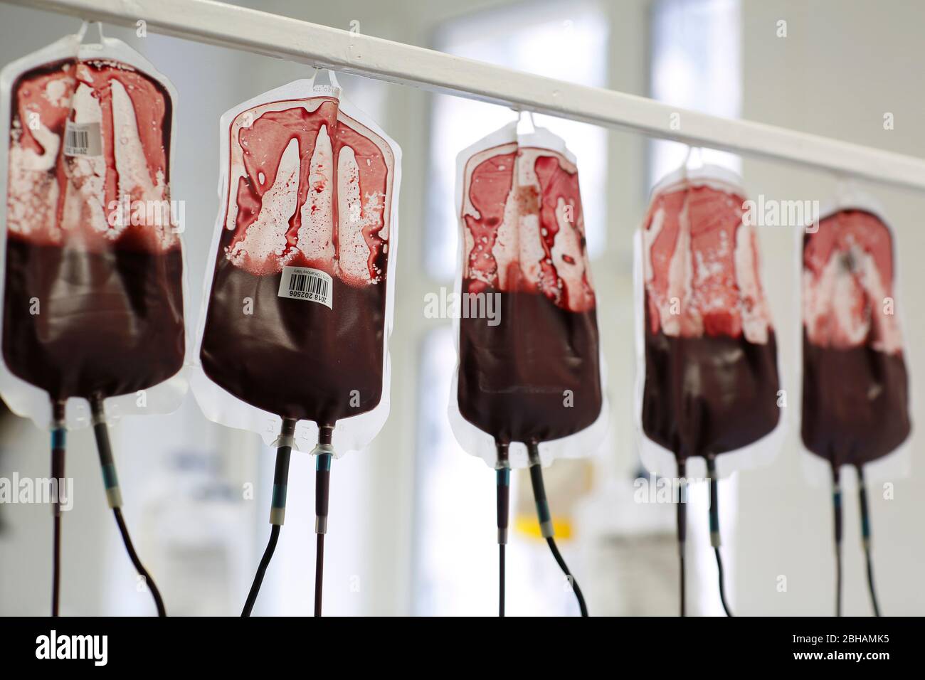 Blood bag on the transfusion station of a hospital Stock Photo